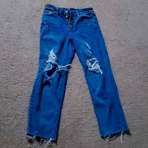 Wild fable jeans